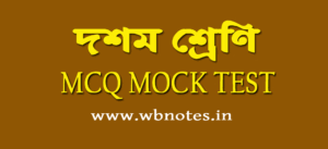 class 10 mcq mock test