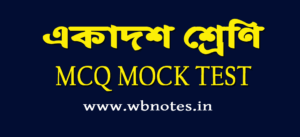 class 11 mcq mock test