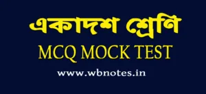 class 11 mcq mock test