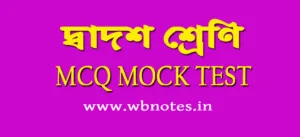 class 12 mcq mock test