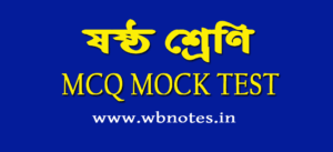 class 6 mcq mock test