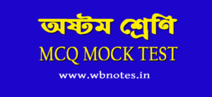 class 8 mcq mock test