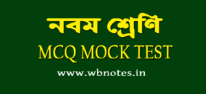 class 9 mcq mock test