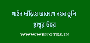 paein-dariye-akashe-noyon-tuli-kobitar-question-answers