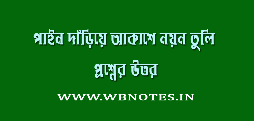 paein-dariye-akashe-noyon-tuli-kobitar-question-answers