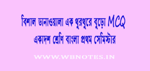bishal-danawala-ek-thurthure-buro-mcq