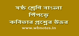 pipre-kobitar-question-answers