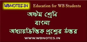 Class Eight English Suggestion