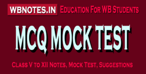 CLASS 9 MCQ MOCK TEST