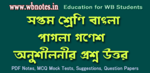 pagla-ganesh-question-answers