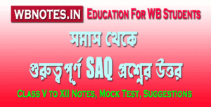 somas-saq-question-answers