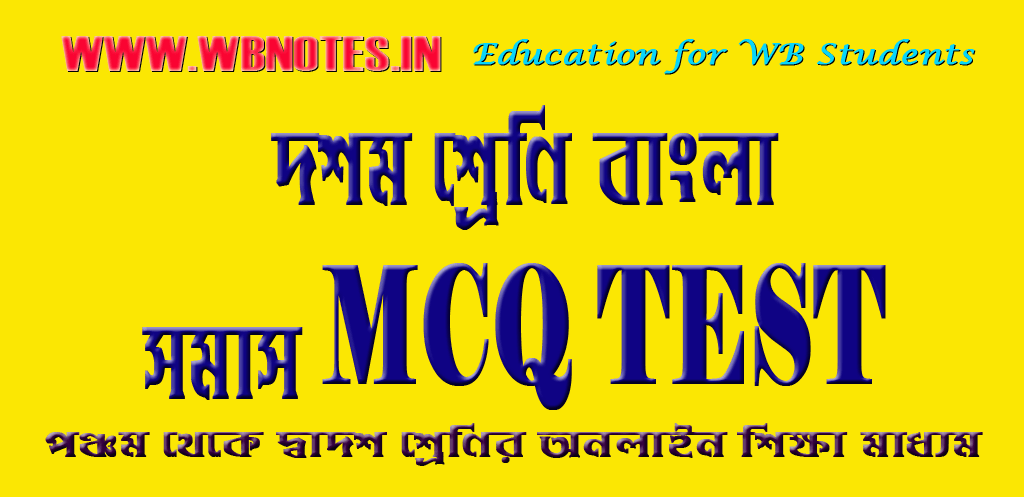 class-ten-somas-mcq