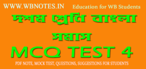 class-ten-somas-mcq-4