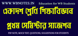 class-eleven-1st-semester-education-suggestions