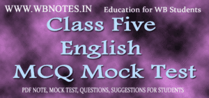 Class Five English MCQ Mock Test