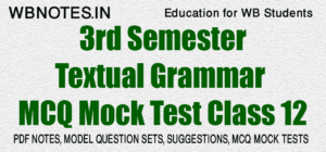 Textual Grammar MCQ Mock Test Class 12