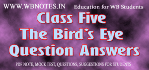 The Bird’s Eye Question Answers