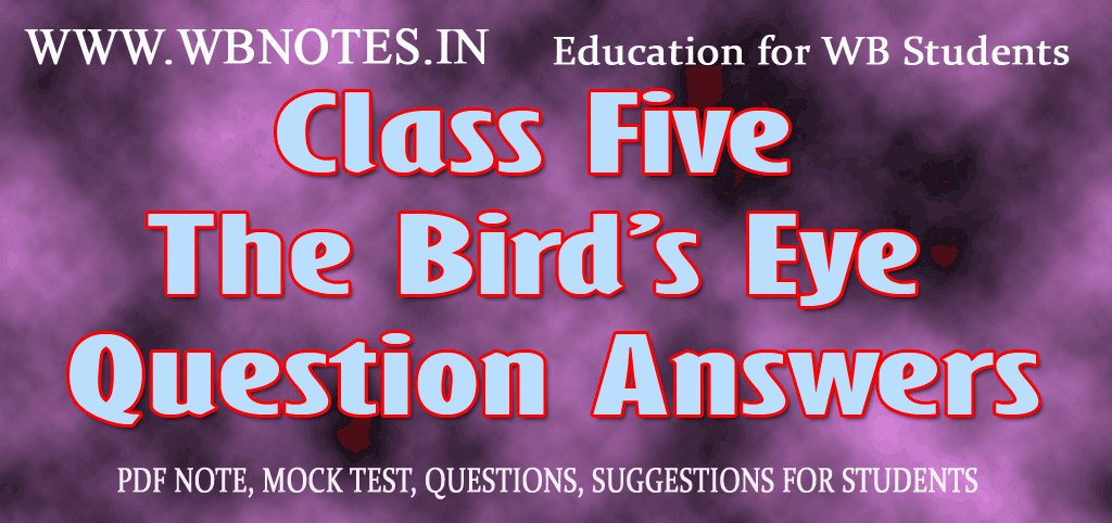 The Bird’s Eye Question Answers