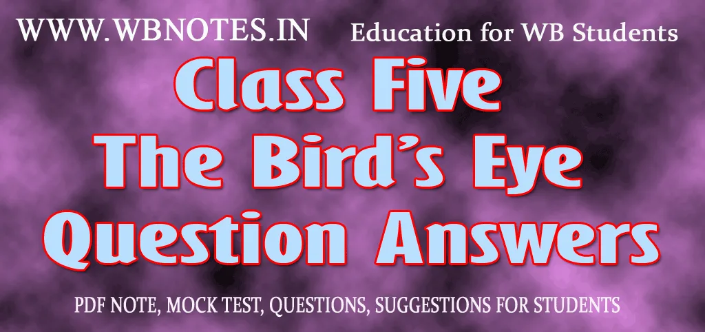 The Bird’s Eye Question Answers