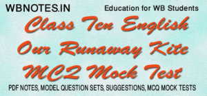 our-runaway-kite-mcq-mock-test-class-10