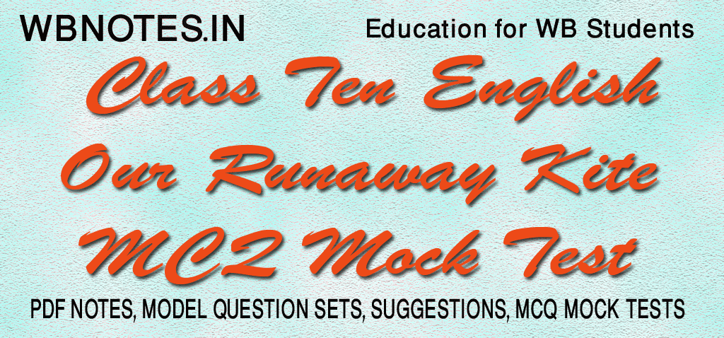 our-runaway-kite-mcq-mock-test-class-10