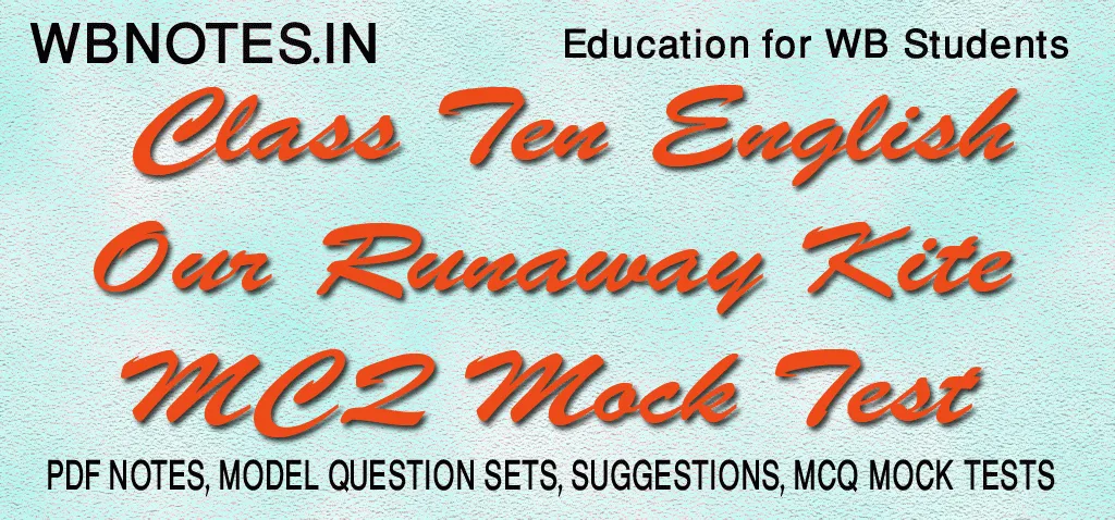 our-runaway-kite-mcq-mock-test-class-10